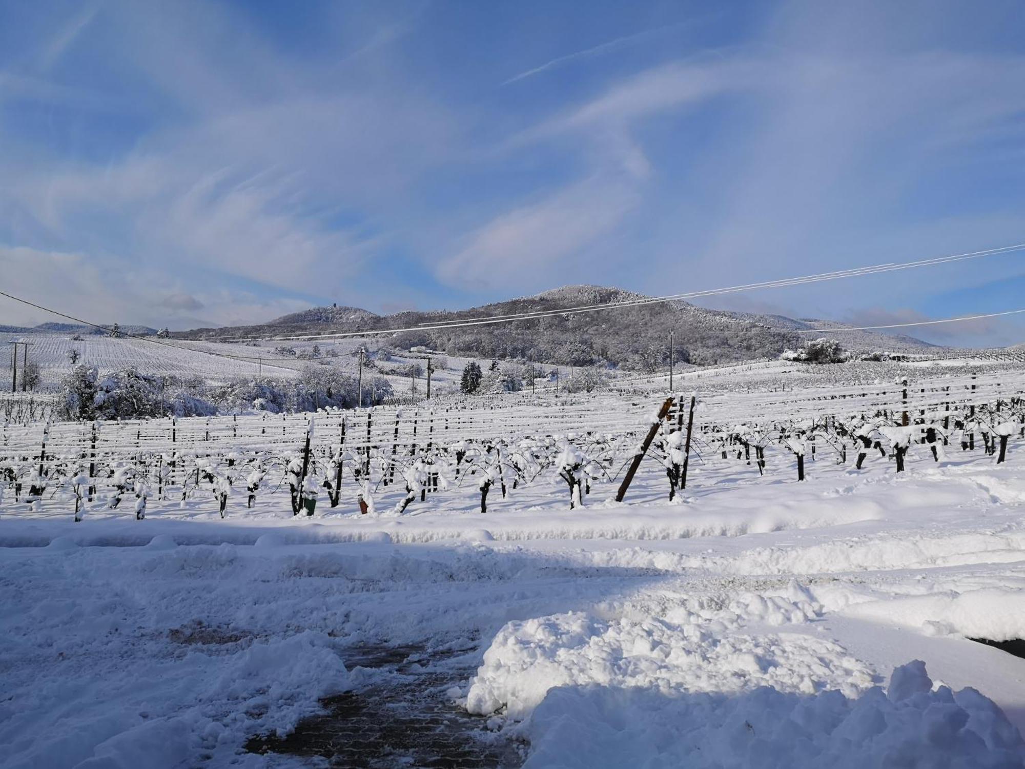 L'Altenberg Bergheim Exterior foto